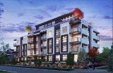 Garden 11 by AREE Developments presale