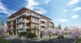 W63 Mansion by Hansen Pacific presale