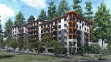 Seymour Estates by Anthem presale