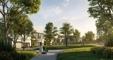 Wood and Water by Anthem presale