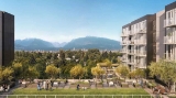 Frame by Coromandel Properties and Peterson Group presale