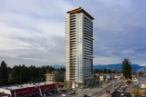 Walker House by BMG Real Estate presale