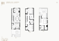 Aviary Plan B1E 3 bed+DEN+2