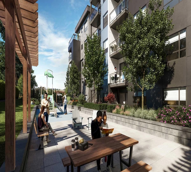 Jacob by Redekop Faye presale