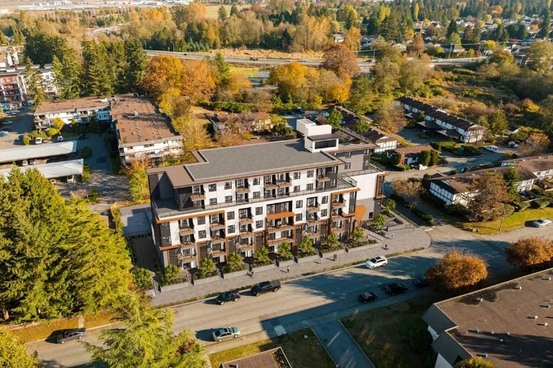 Vera by Anxin Projects presale