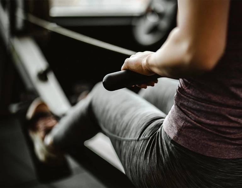 North Harbour by Concert presale