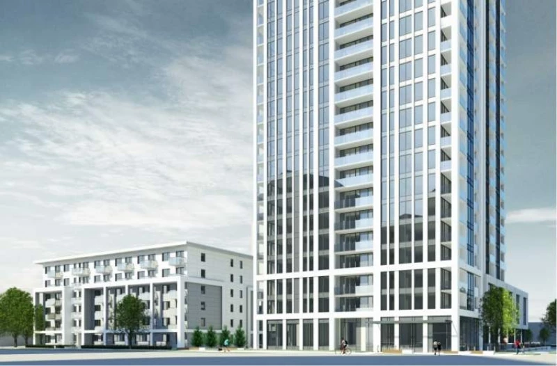 The Standard by Anthem presale