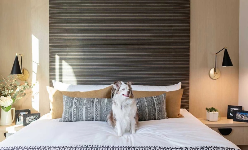 Westhampton at Hampton Cove by Polygon Homes presale