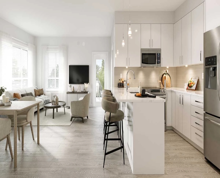 Jacob by Redekop Faye presale