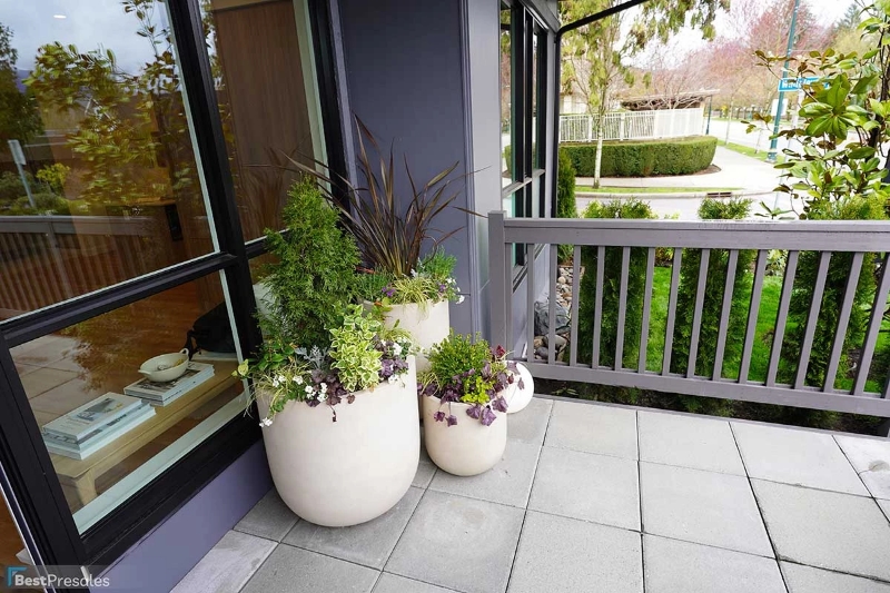 Towns at Lynn by Mosaic Homes presale