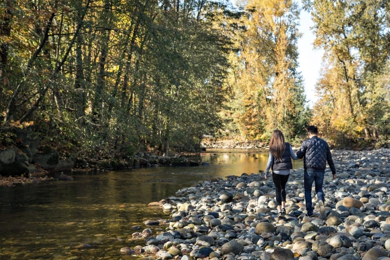 Apex by Denna Homes presale