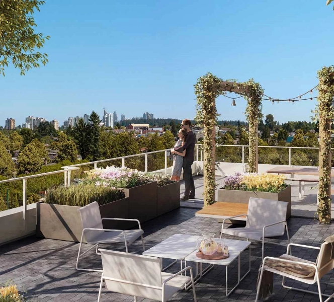 Frame by Coromandel Properties and Peterson Group presale