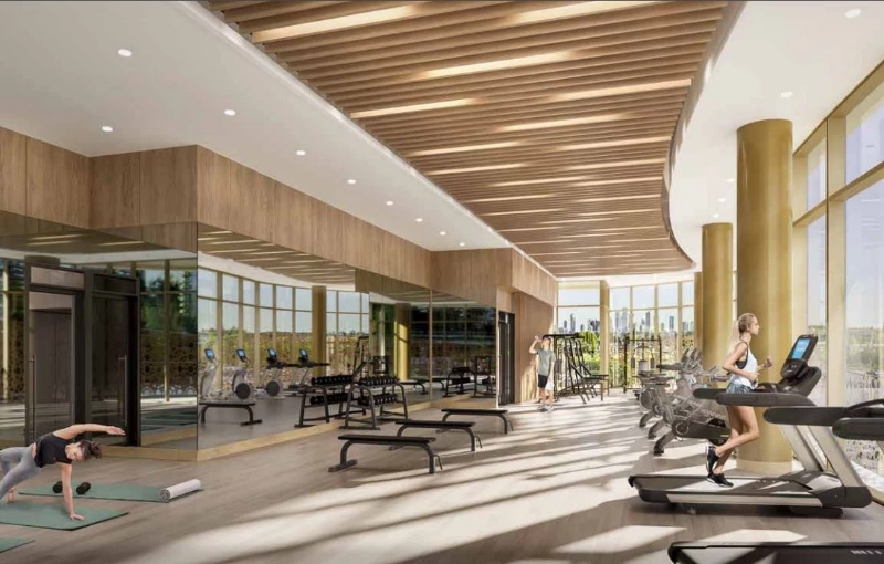 Etoile Gold by Millennium Development Group presale