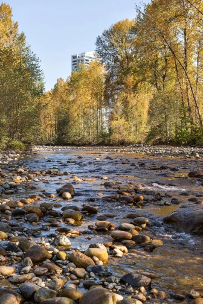 Apex by Denna Homes presale