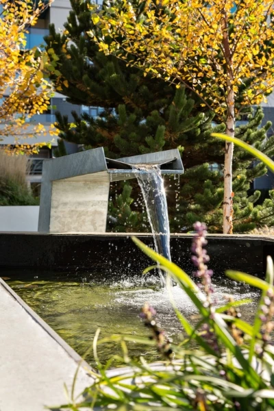 Apex by Denna Homes presale