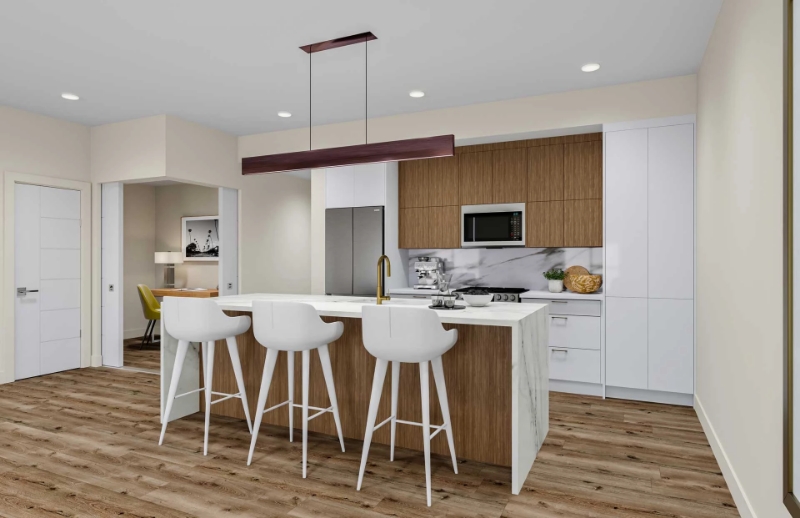 Savoy on Clement by Madison Avenue Group presale