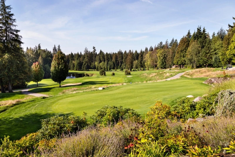 Apex by Denna Homes presale