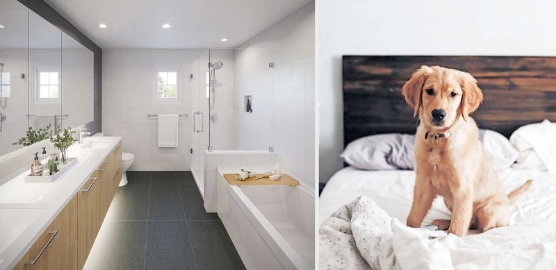 Forester by Townline presale