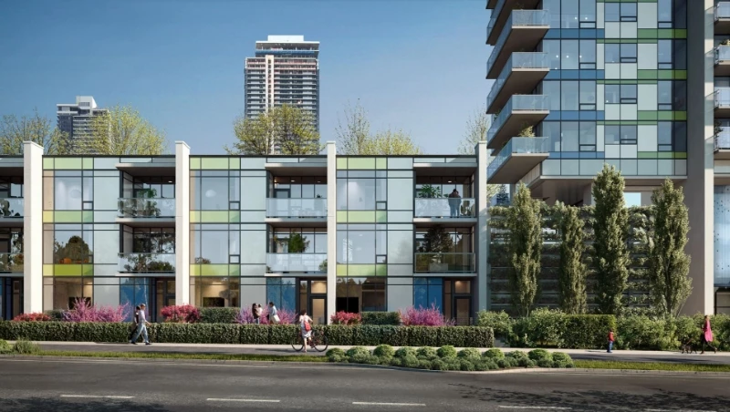 Tailor by Marcon presale