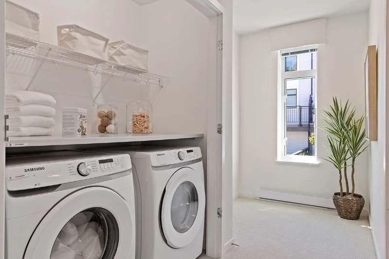 Wood and Water by Anthem presale