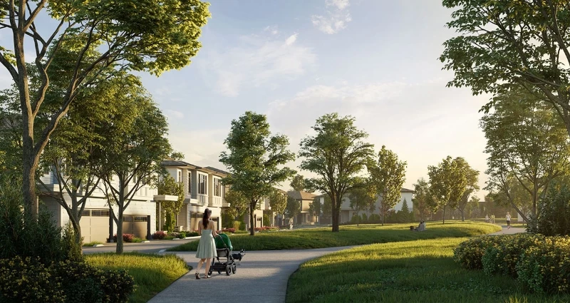 Wood and Water by Anthem presale