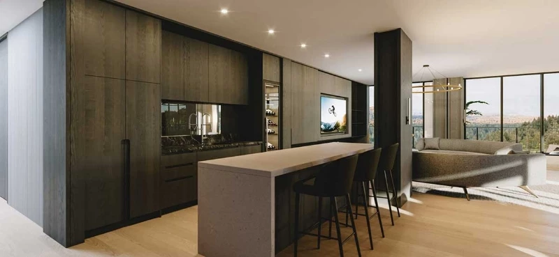 One Bear Mountain by 360 Pacifica and Terracap presale